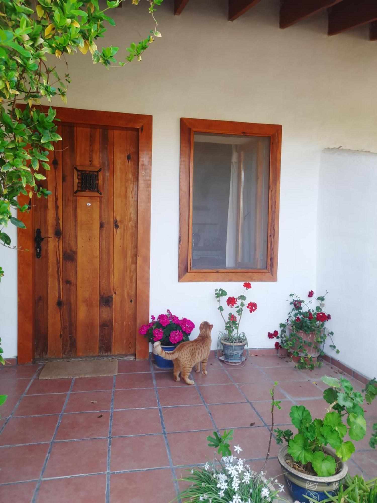 Ionia Guest House Aydin Exterior photo