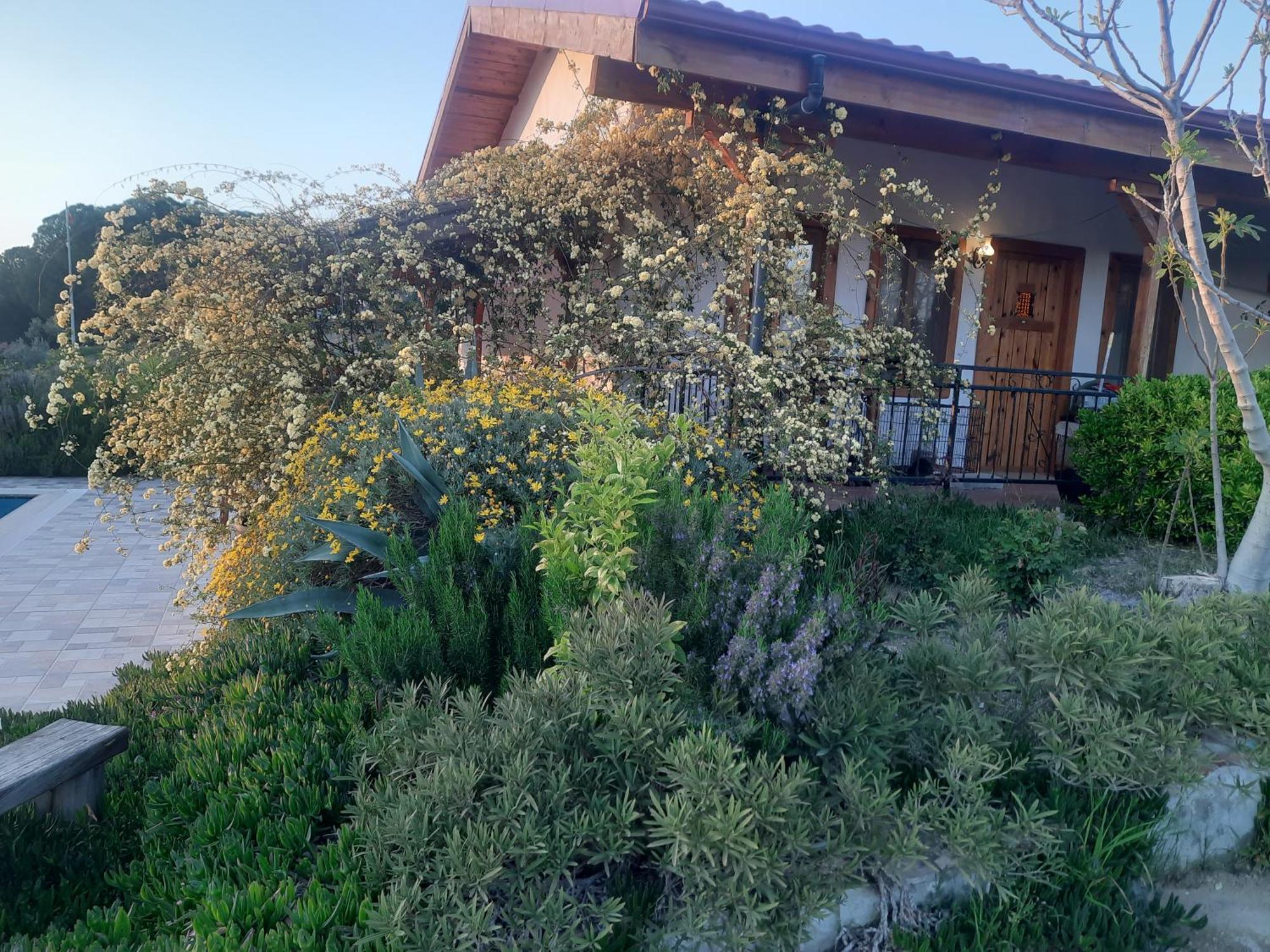 Ionia Guest House Aydin Exterior photo